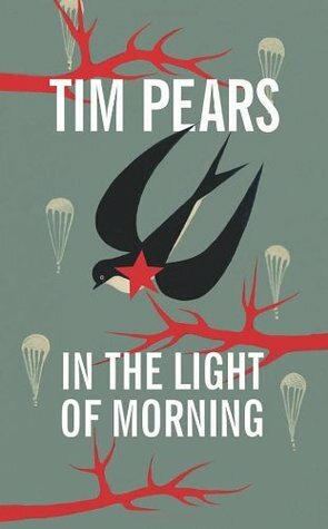 In the Light of Morning by Tim Pears