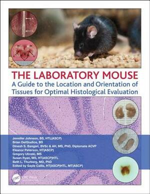 The Laboratory Mouse: A Guide to the Location and Orientation of Tissues for Optimal Histological Evaluation by Jennifer Johnson, Dinesh Bangari, Brian Delgiudice