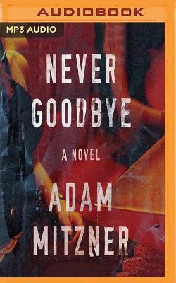 Never Goodbye by Adam Mitzner