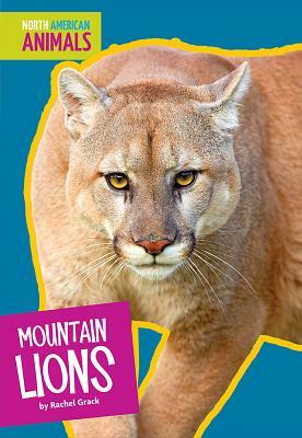 Mountain Lions by Rachel Grack