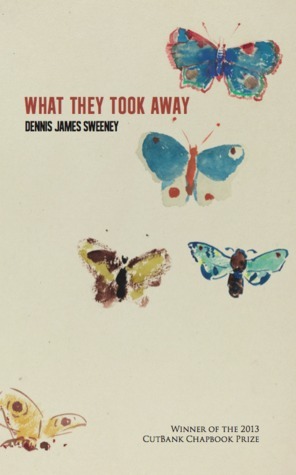 What They Took Away by Dennis James Sweeney