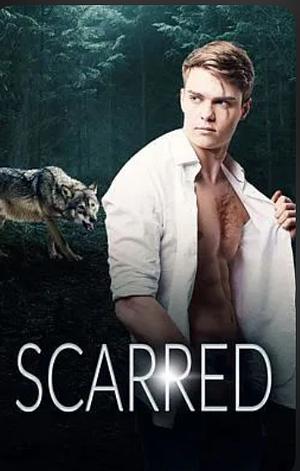 Scarred by R. L. Burchett