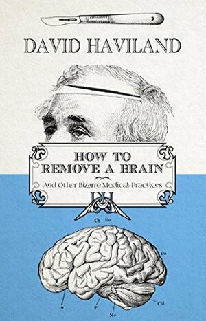 How to Remove a Brain: and Other Bizarre Medical Practices and Procedures by David Haviland