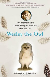 Wesley the Owl: The Remarkable Love Story of an Owl and His Girl by Stacey O'Brien