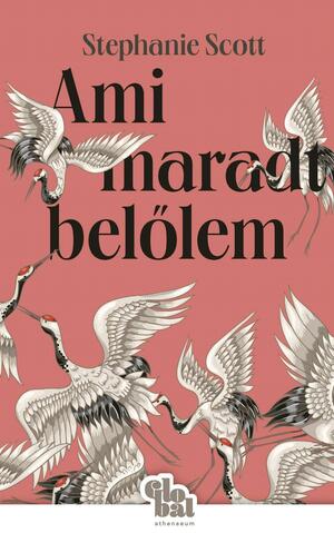 Ami maradt belőlem by Stephanie Scott