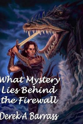 What Mystery Lies Behind The Firewall by Derek a. Barrass
