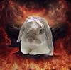 tokkitale's profile picture