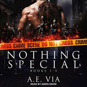 Nothing Special Series Box Set, Books 1-5 by A.E. Via