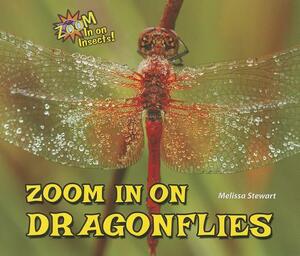 Zoom in on Dragonflies by Melissa Stewart