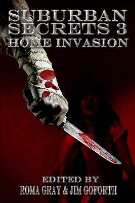 Suburban Secrets 3: Home Invasion by Essel Pratt, J. L. Lane, Jim Goforth