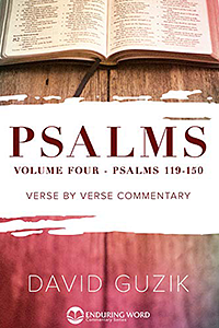 Psalms: Volume Four (119 - 150) by David Guzik