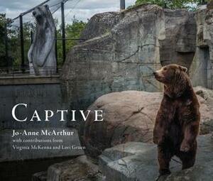 Captive by Virginia McKenna, Jo-Anne McArthur, Lori Gruen
