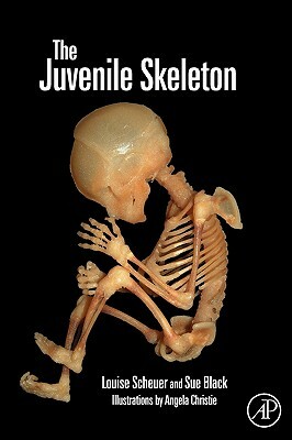 The Juvenile Skeleton by Sue Black, Louise Scheuer