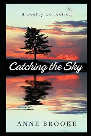 Catching the sky by Anna Brooke