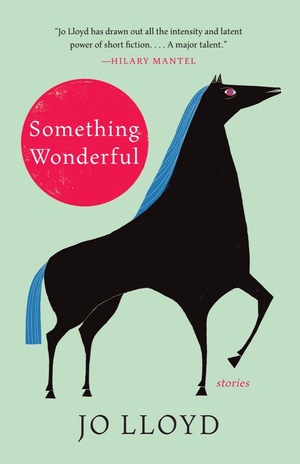 Something Wonderful: Stories by Jo Lloyd