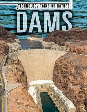 Dams by Ryan Nagelhout