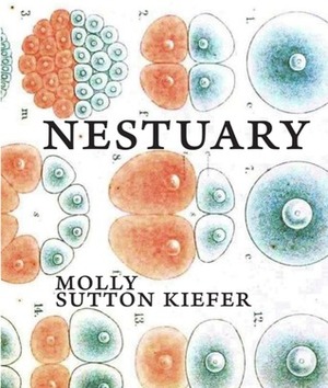 Nestuary by Molly Sutton Kiefer