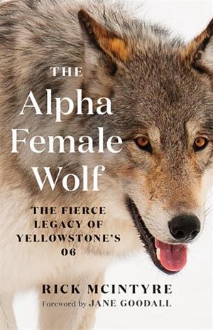 The Alpha Female Wolf  by Rick McIntyre