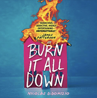 Burn It All Down by Nicolas DiDomizio