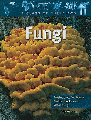 Fungi: Mushrooms, Toadstools, Molds, Yeasts, and Other Fungi by Judy Wearing