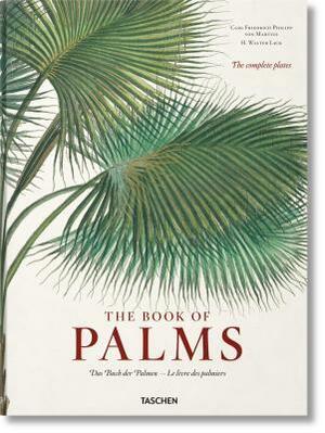 Martius: The Book of Palms by H. Walter Lack