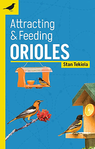 Attracting & Feeding Orioles by Stan Tekiela