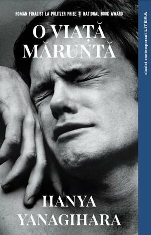 O viață măruntă by Hanya Yanagihara