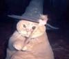 iwitch's profile picture