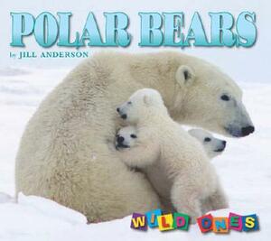 Polar Bears by Jill Anderson