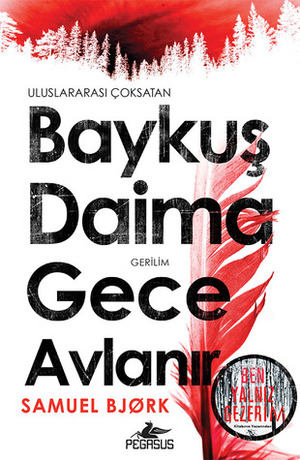 Baykuş Daima Gece Avlanır by Alpay Pala, Samuel Bjørk