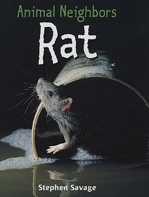 Rat by Stephen Savage