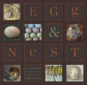 Egg & Nest by Rosamond Wolff Purcell