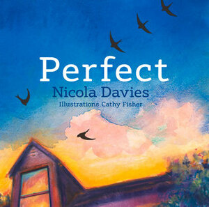 Perfect by Nicola Davies, Cathy Fisher