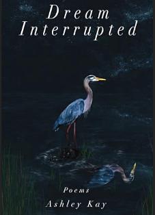 Dream Interrupted: Poems by Ashley Kay