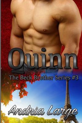 Quinn: (The Beck Brothers Series) by Andria Large