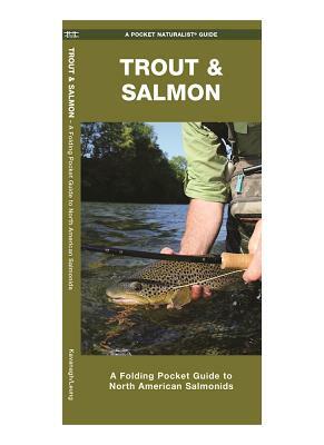 Trout & Salmon: A Folding Pocket Guide to North American Salmonids by Waterford Press, James Kavanagh