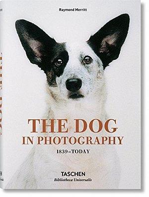 The Dog in Photography / Der Hund In Der Fotografie / Le Chien Dans La Photographie: 1839-today by Raymond Merritt, Raymond Merritt