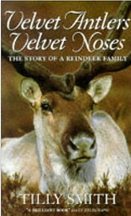 Velvet Antlers, Velvet Noses: The Story of a Reindeer Family by Tilly Smith