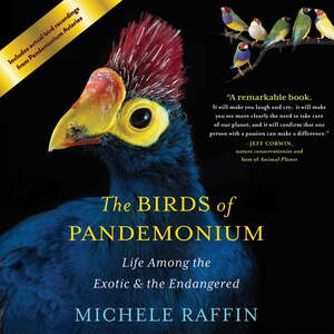 The Birds of Pandemonium: Life Among the Exotic & the Endangered by Michele Raffin