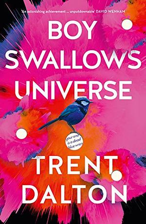 Boy Swallows Universe by Trent Dalton