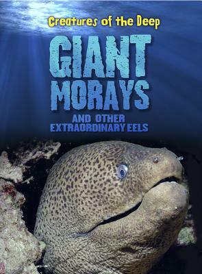 Giant Morays and Other Extraordinary Eels by Casey Rand