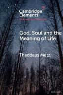 God, Soul and the Meaning of Life by Thaddeus Metz