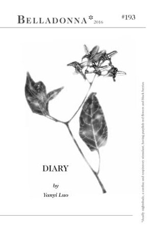 Diary by Yanyi