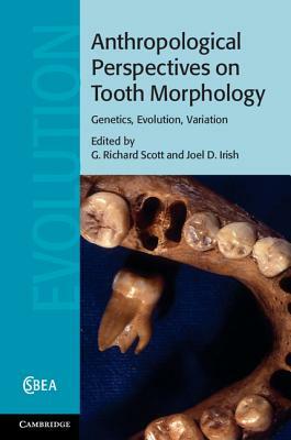 Anthropological Perspectives on Tooth Morphology: Genetics, Evolution, Variation by 