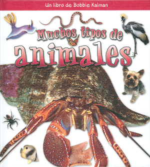 Muchos Tipos de Animales by Molly Aloian, Bobbie Kalman