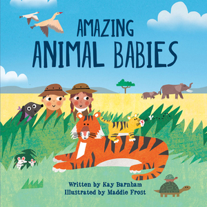 Amazing Animal Babies by Kay Barnham