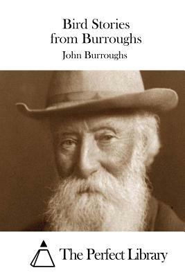 The Birds of John Burroughs by John Burroughs