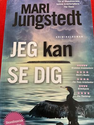 Jeg kan se dig: kriminalroman by Mari Jungstedt
