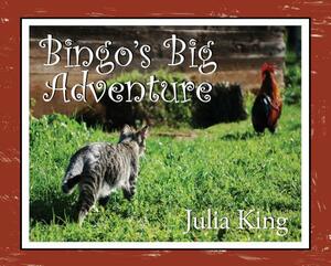 Bingo's Big Adventure by Karen Scarvie, Julia King, Jenny Bixby