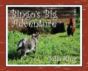 Bingo's Big Adventure by Jenny Bixby, Karen Scarvie, Julia King